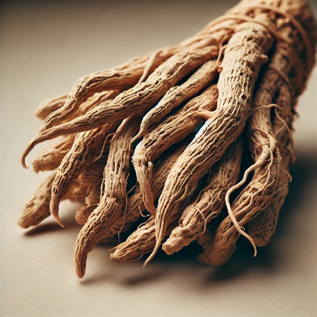 Exploring Ashwagandha Root: Benefits for the Human Body